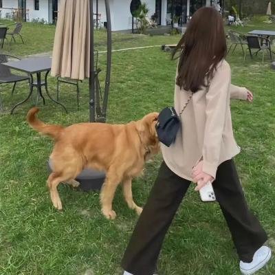 维也纳和鬼魂乐队